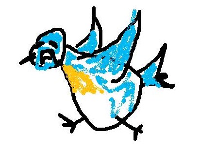 412x312 eastern bluebird aberrant plumage - Eastern Bluebird Drawing