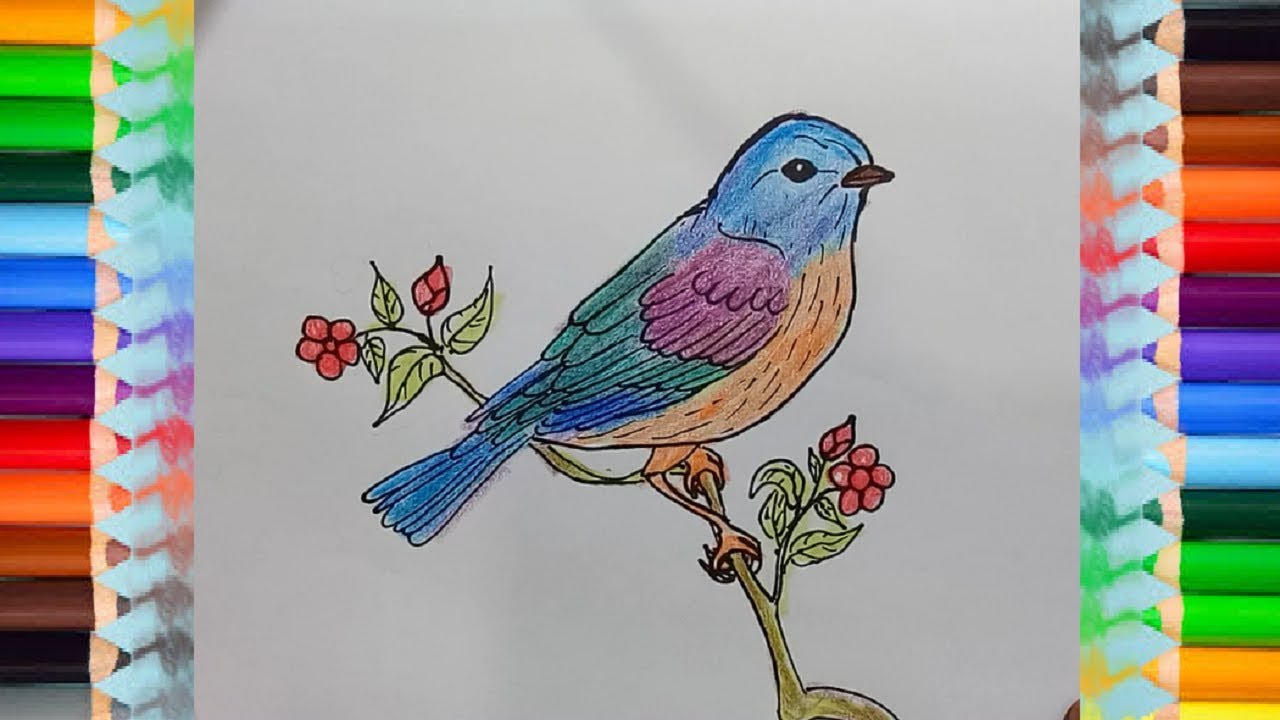 1280x720 how to draw eastern bluebirds step - Eastern Bluebird Drawing
