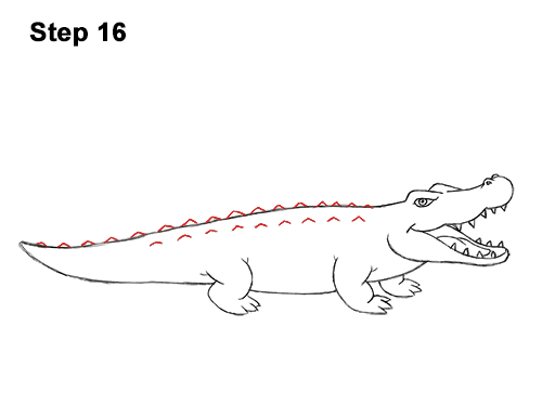 500x386 How To Draw A Crocodile Alligator - Easy Alligator Drawing