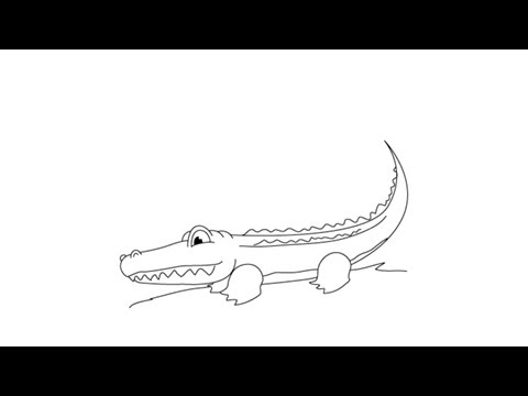 480x360 How To Draw An Alligator - Easy Alligator Drawing