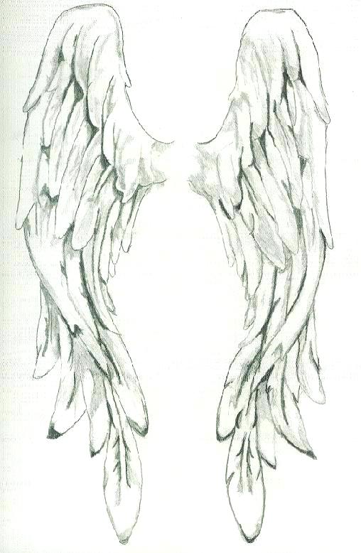 508x778 Angel Wings Drawing Amazing Simple Oakeydoak - Easy Angel Wings Drawing
