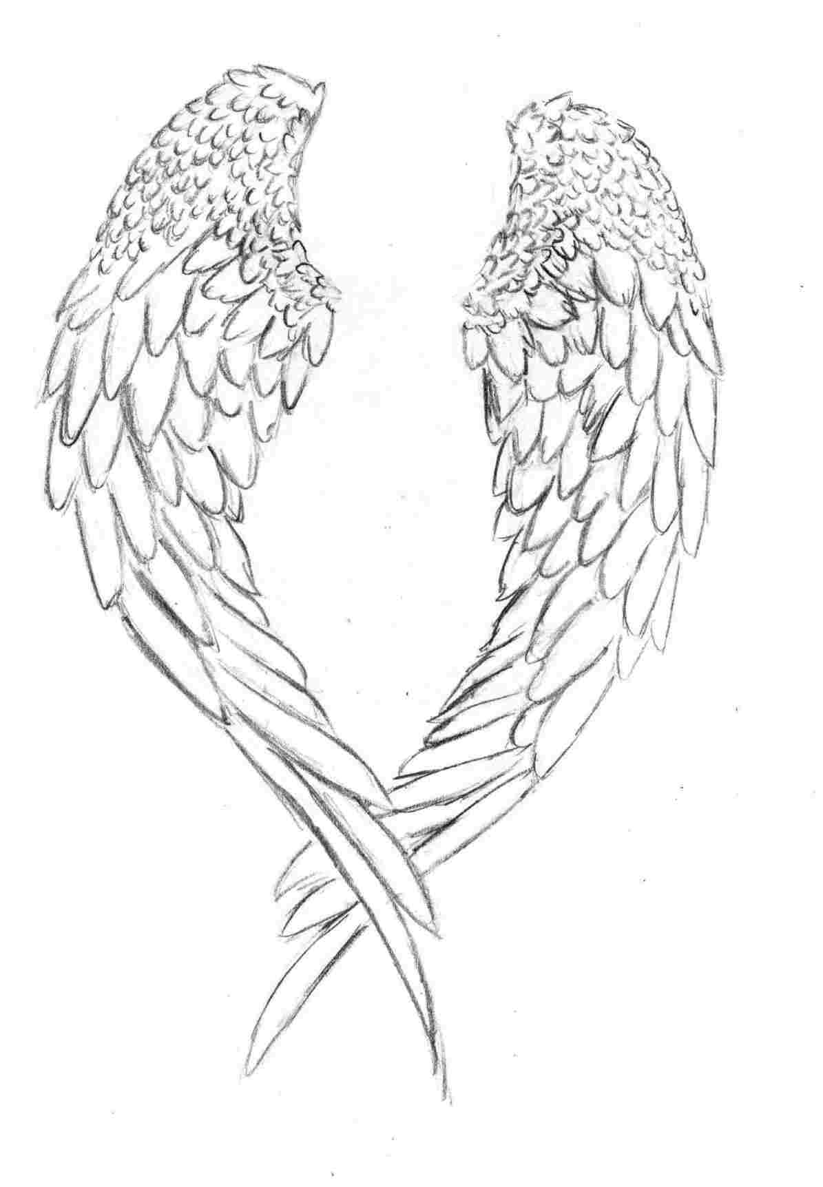 1195x1724 angel to draw angel wings in a few easy steps doodles - Easy Angel Wings Drawing