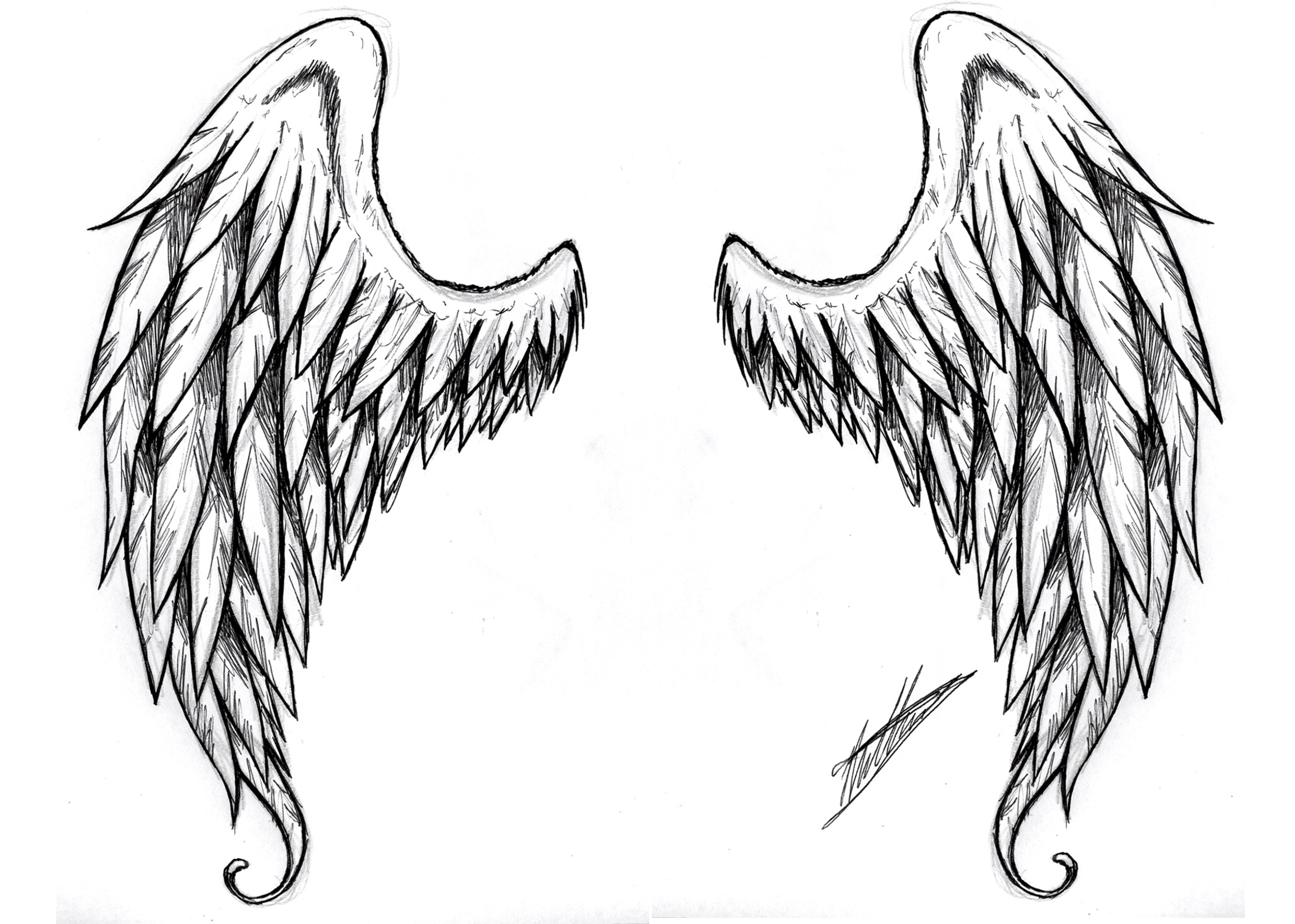 Easy Angel Wings Drawing At Paintingvalley Com Explore