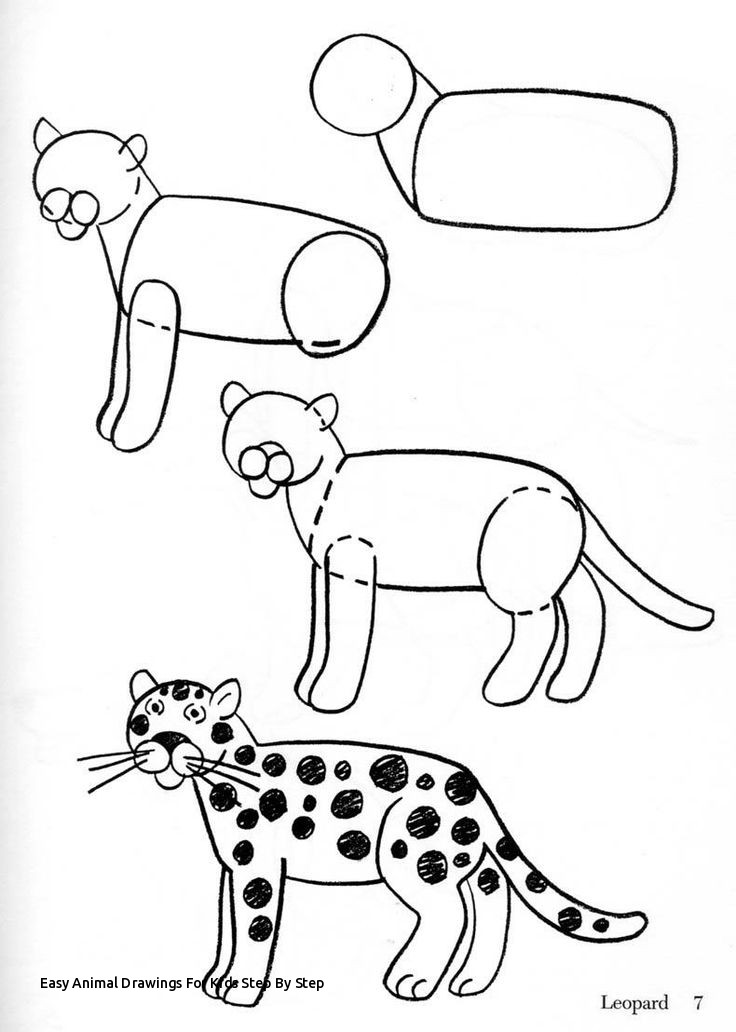 736x1032 Easy Animal Drawings For Kids Step - Easy Animal Drawings For Kids