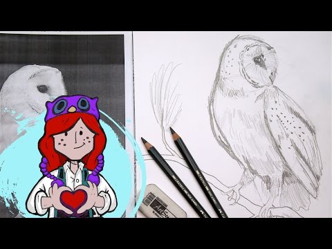 480x360 Tagged Easy Barn Owl Drawing The Art Sherpa - Easy Barn Drawing