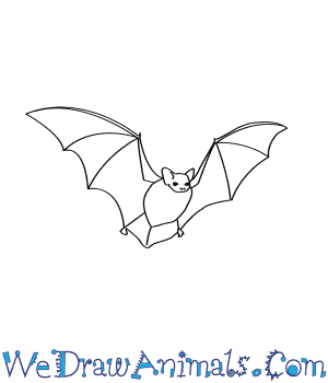300x350 How To Draw A Little Brown Bat - Easy Bat Drawing