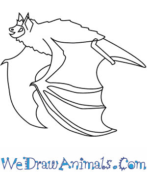 300x350 how to draw an indiana bat - Easy Bat Drawing