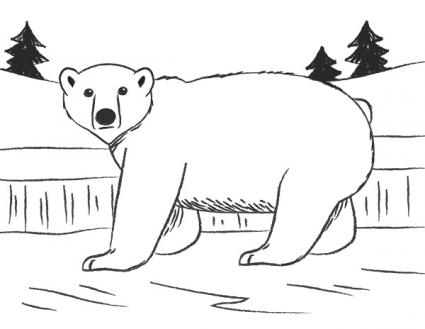 425x329 How To Draw A Polar Bear Lovetoknow - Easy Bear Face Drawing