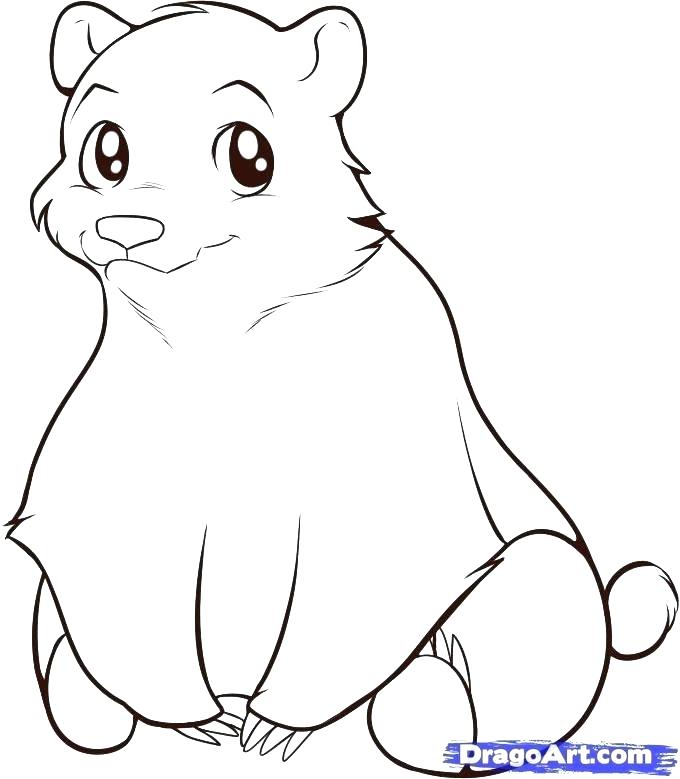 680x779 simple bear drawing simple bear drawing how to draw an easy bear - Easy Bear Face Drawing