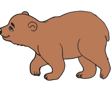 370x297 Bear Face Drawing Archives - Easy Bear Face Drawing