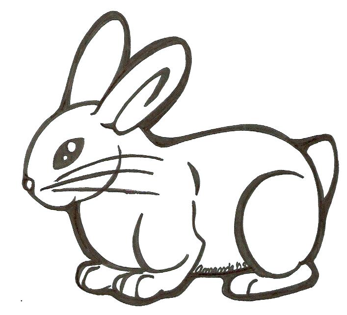 707x641 Easy Bunny Drawings Easy Rabbit Drawing Drawings Drawing Ideas - Easy Bunny Face Drawing