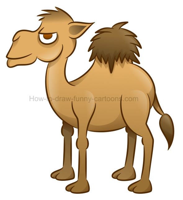 590x647 How To Draw A Camel Cartoon Illustration - Easy Camel Drawing
