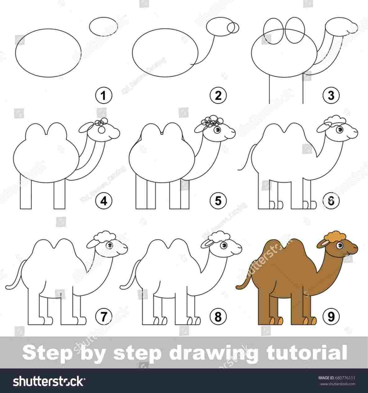 Рисуем верблюда поэтапно