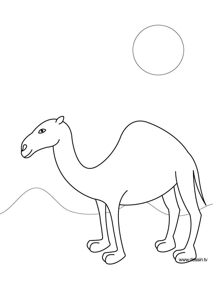 744x1052 Coloring Camel - Easy Camel Drawing