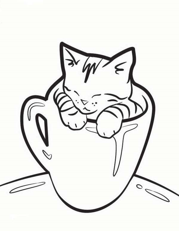 600x776 Simple Cat Drawing Examples Anyone Can Try - Easy Cat Drawing Step By Step