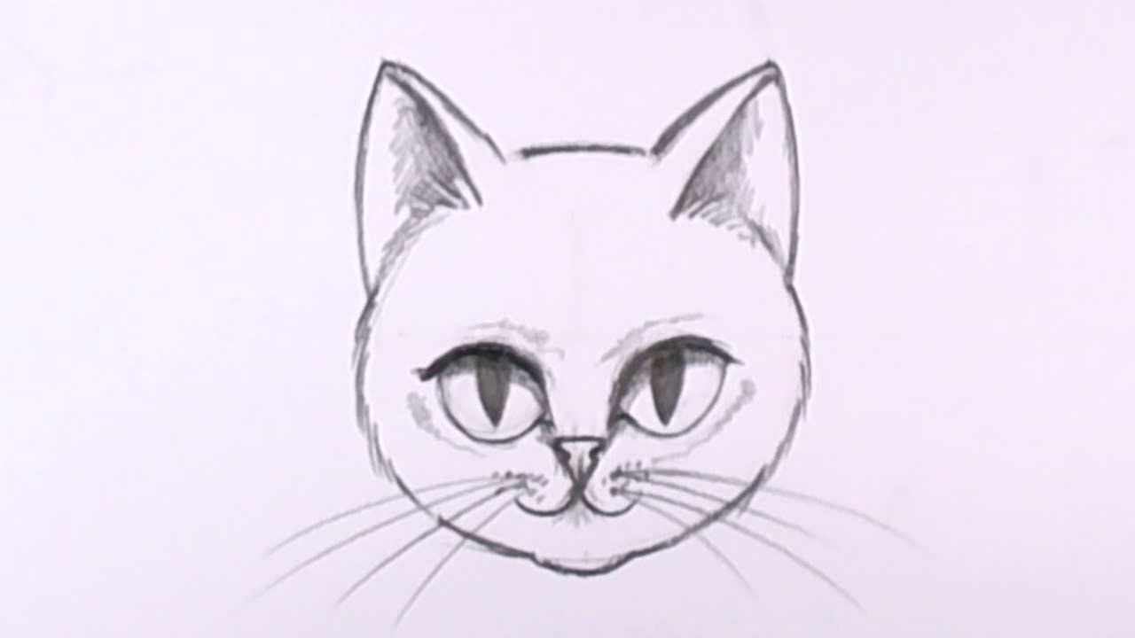 1280x720 How To Draw A Cat Face In Pencil - Easy Cat Face Drawing