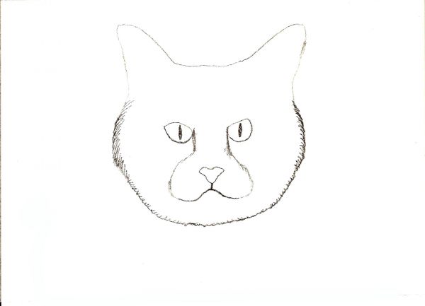 600x433 How To Draw A Simple Cat Face - Easy Cat Face Drawing
