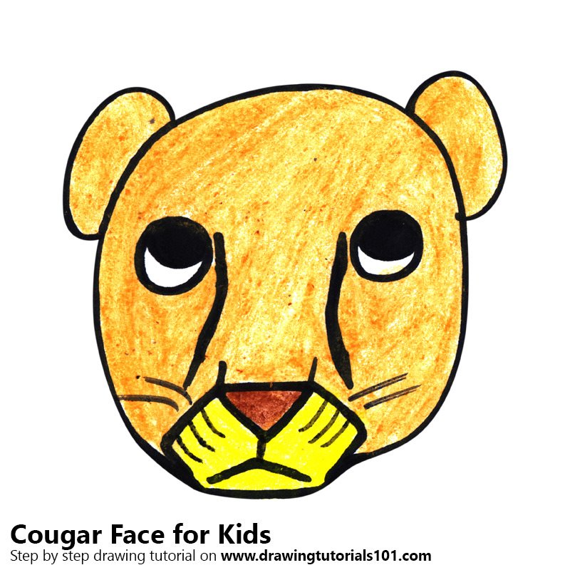 800x800 Learn How To Draw A Cougar Face For Kids - Easy Cougar Drawing