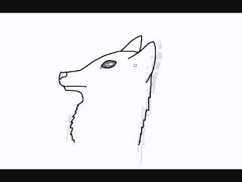 480x360 How To Draw A Coyote - Easy Coyote Drawing