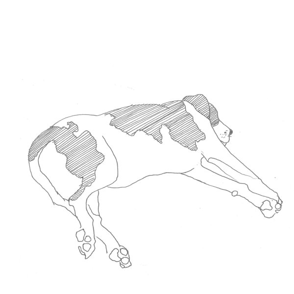 600x600 How Your Simple Drawings Can Be Part Of The Big Picture - Easy Cross Hatching Drawing