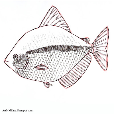 400x400 How To Draw A Fish Step - Easy Cross Hatching Drawing