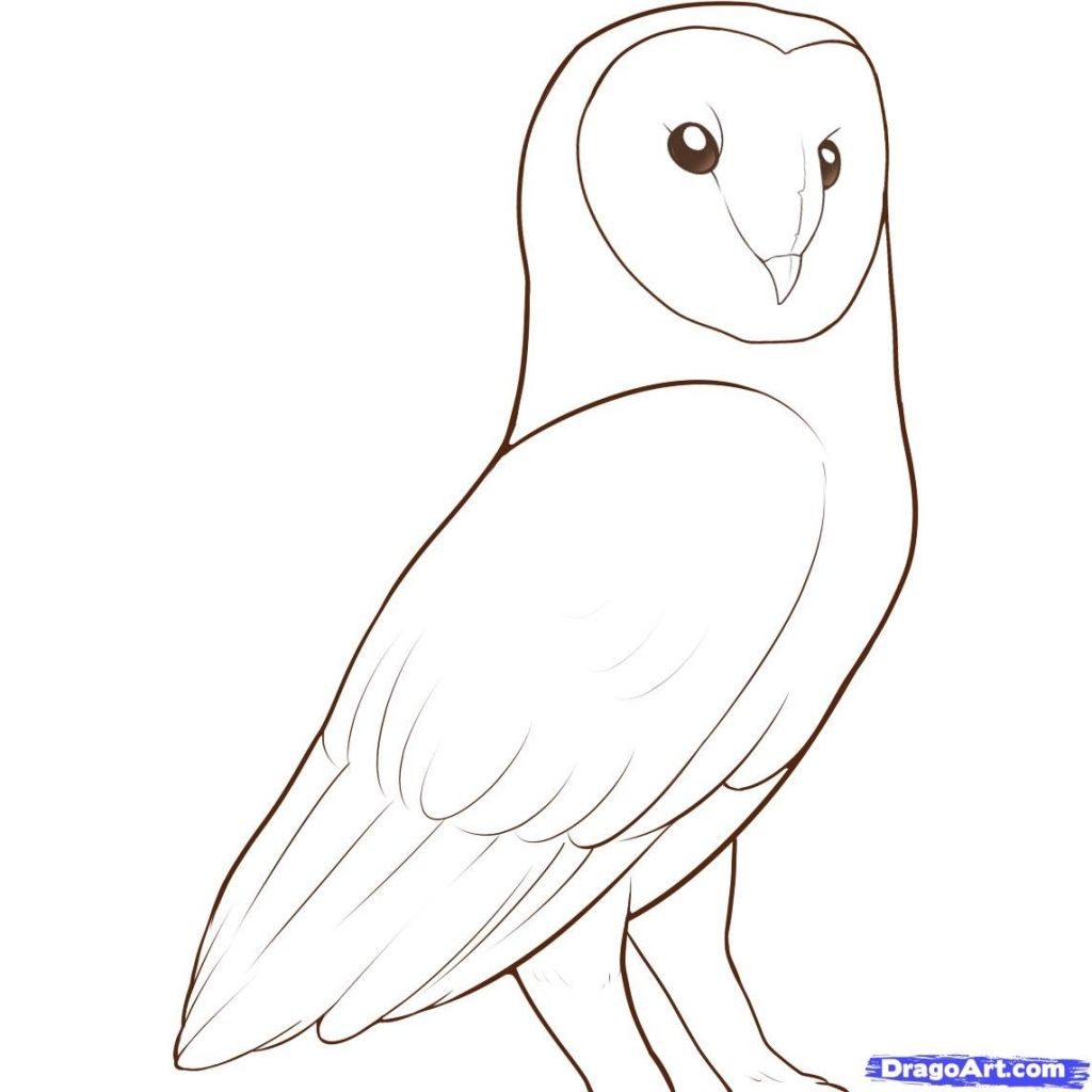 1024x1024 Easy Drawing Of An Owl Easy Cute Owl Color Pages - Easy Cute Owl Drawing