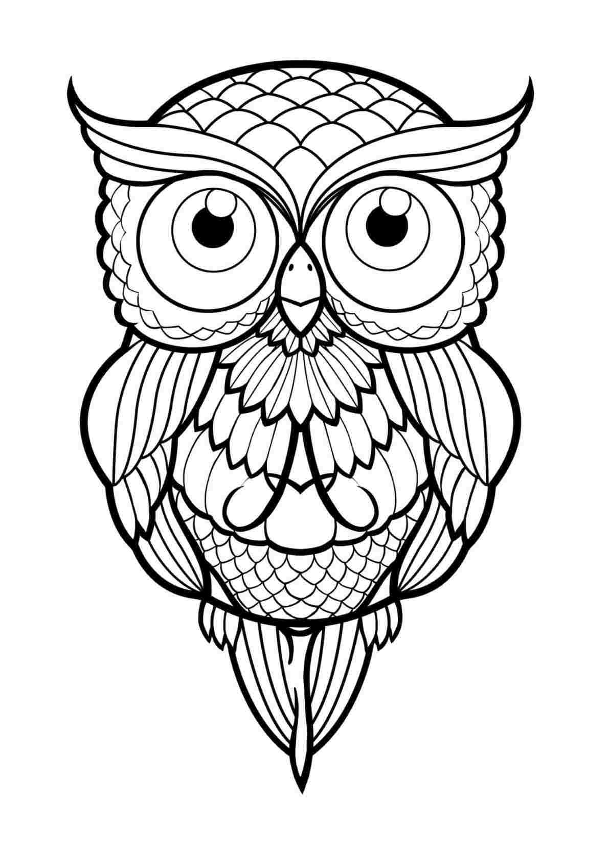 1191x1657 Easy Owl Drawing Simple Cute At Getscom Free For Personal Use - Easy Cute Owl Drawing