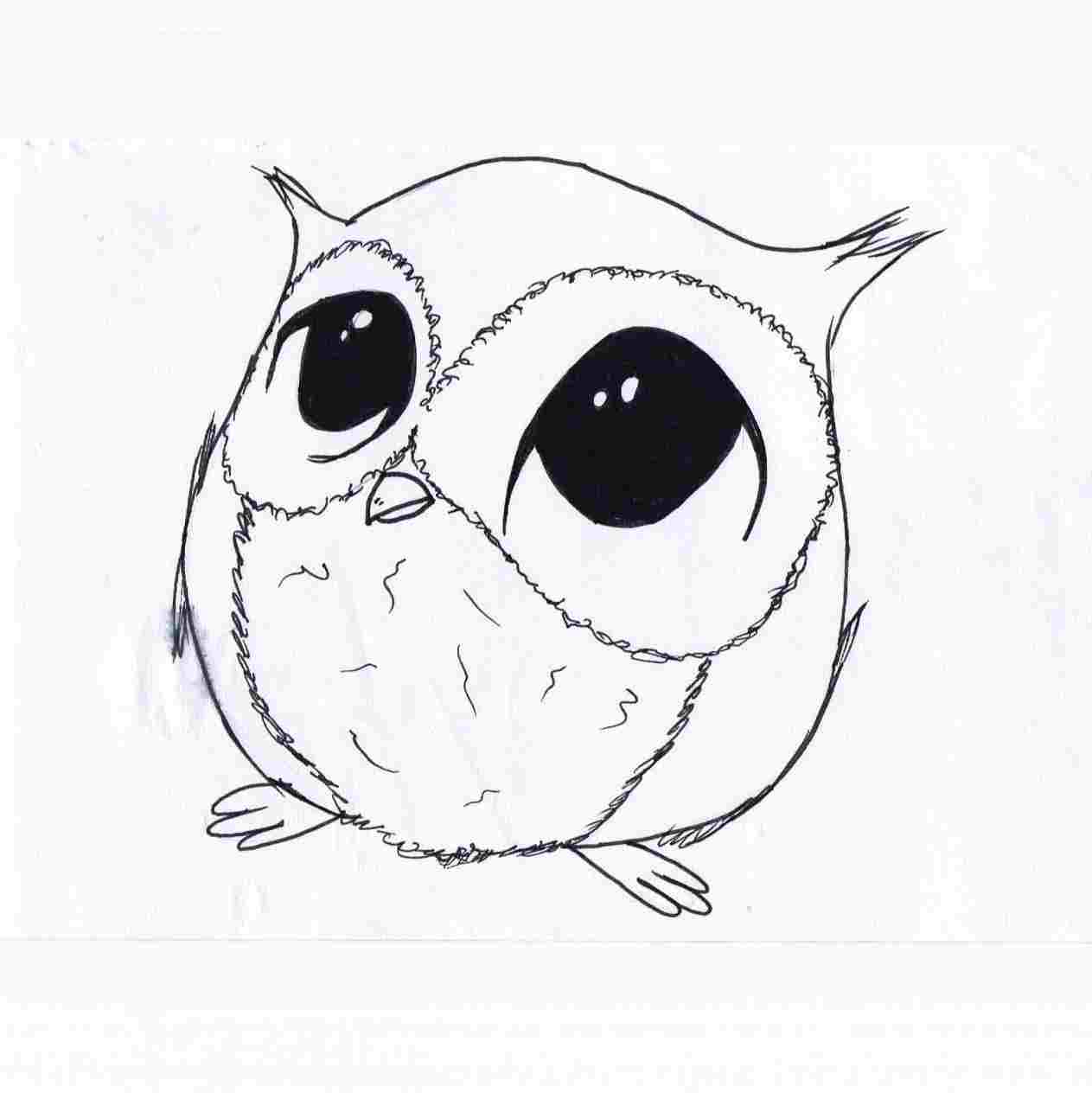 1263x1264 Owl Simple Cute Owl Drawing Drawing Easy Drawings Of Cute - Easy Cute Owl Drawing
