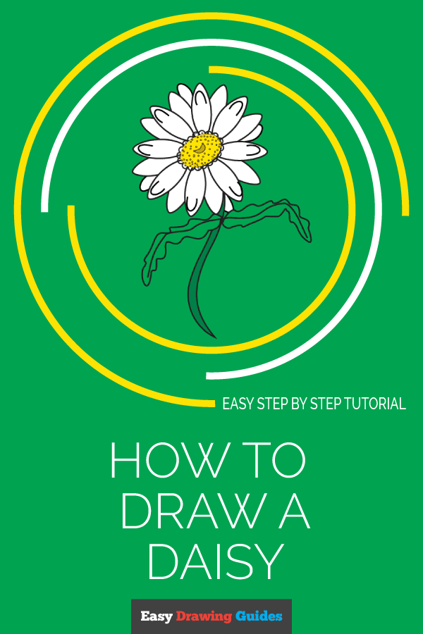 600x900 How To Draw A Daisy Easy Drawing Guides - Easy Daisy Drawing