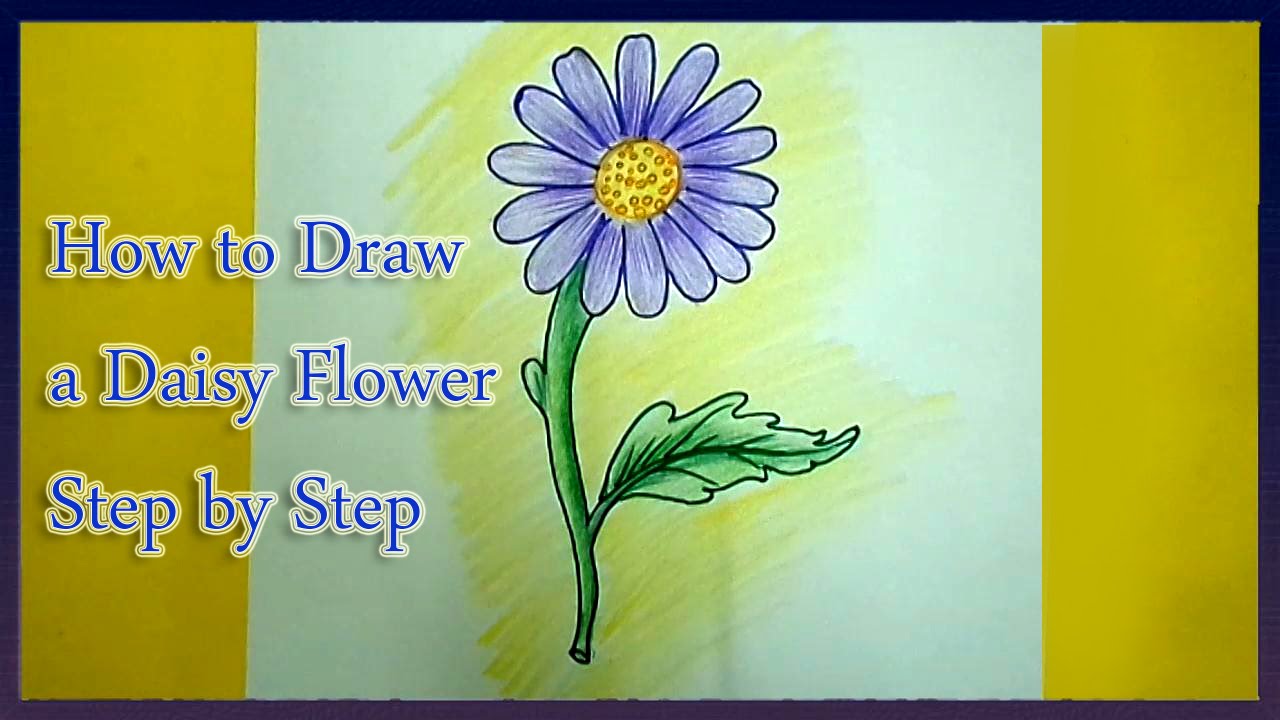1280x720 How To Draw A Daisy Flower Step - Easy Daisy Drawing