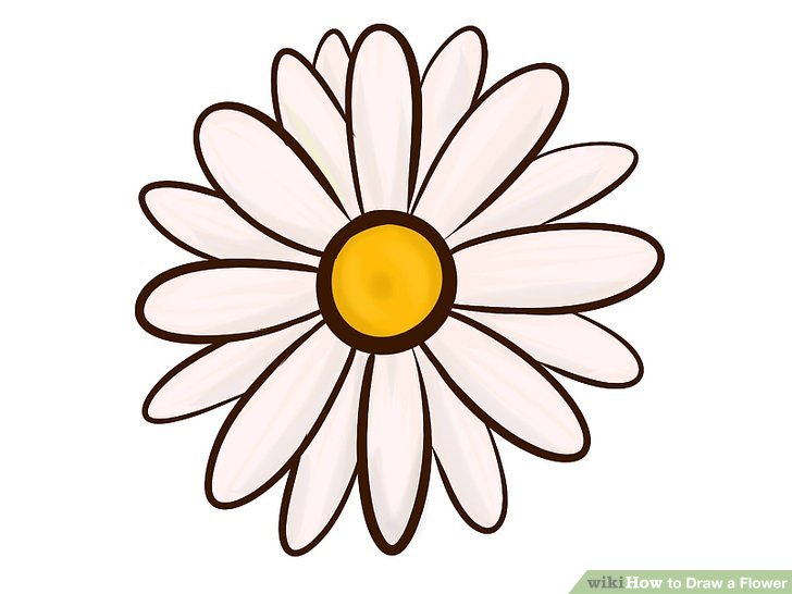 728x546 Easy Ways To Draw A Flower - Easy Daisy Drawing