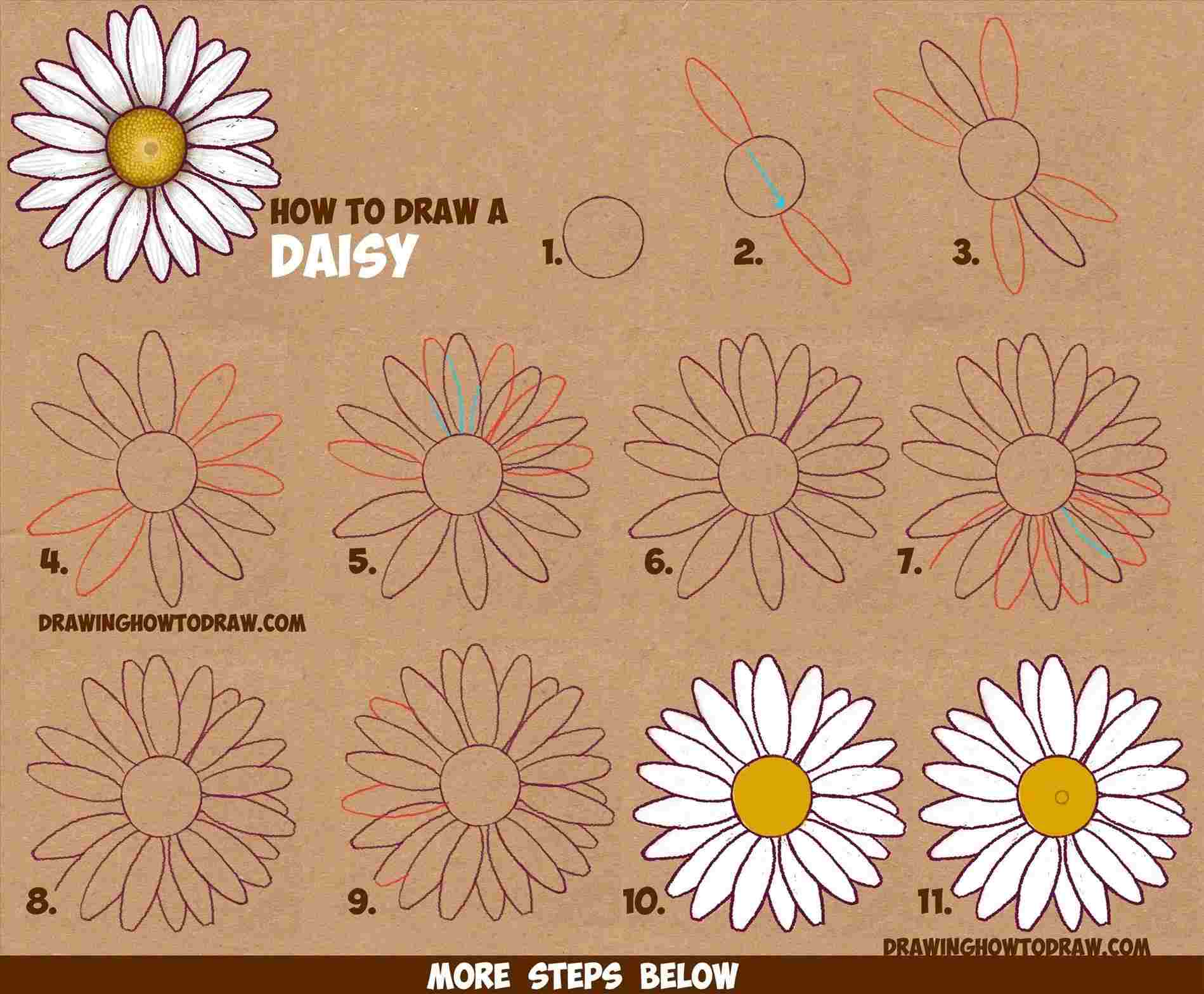 Easy Daisy Drawing at PaintingValley.com | Explore collection of Easy ...