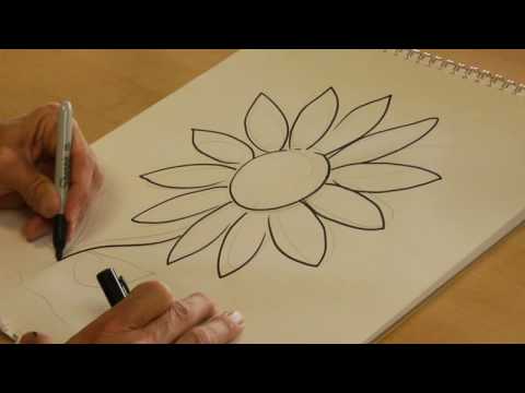 480x360 Drawing From Nature How To Draw A Daisy - Easy Daisy Drawing