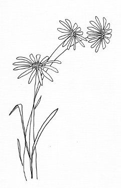 241x375 Free Flower Templates And Designs Printable Daisy Drawing - Easy Daisy Drawing