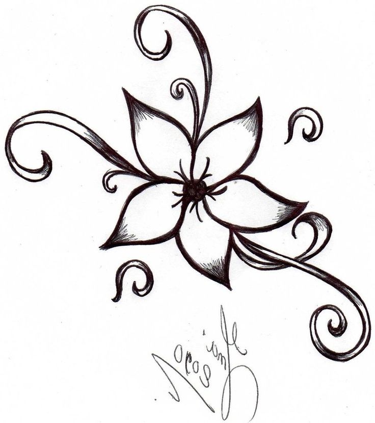 736x830 Art Drawings, Flower Sketches, Easy Drawings - Easy Designs Drawing
