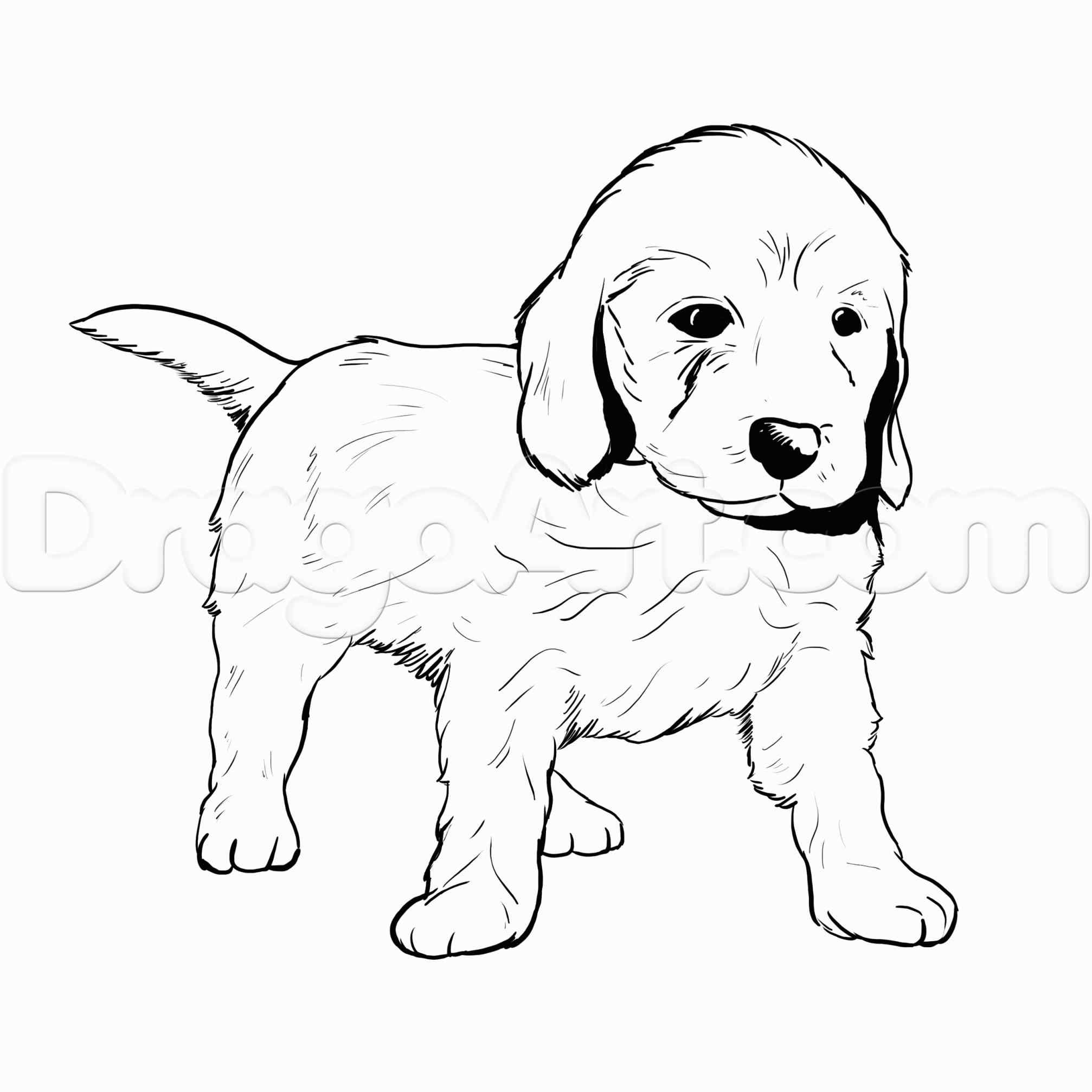 2014x2014 Dog Sketch Easy For Kids - Easy Dog Drawing For Kids