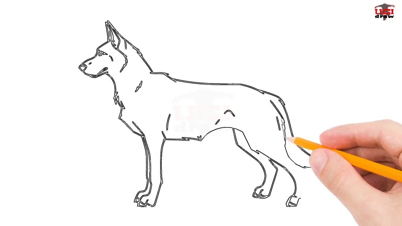 1280x720 How To Draw A German Shepherd Step - Easy Dog Drawing Tutorial
