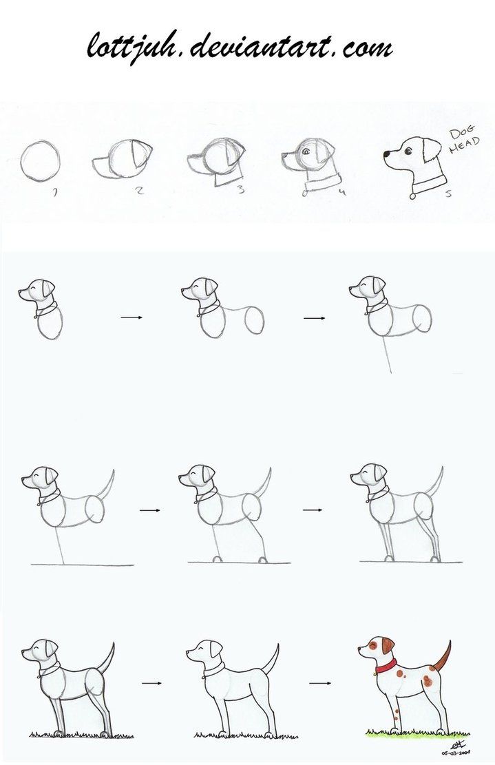 719x1111 Simple Dog Body Tutorial - Easy Dog Drawing Tutorial