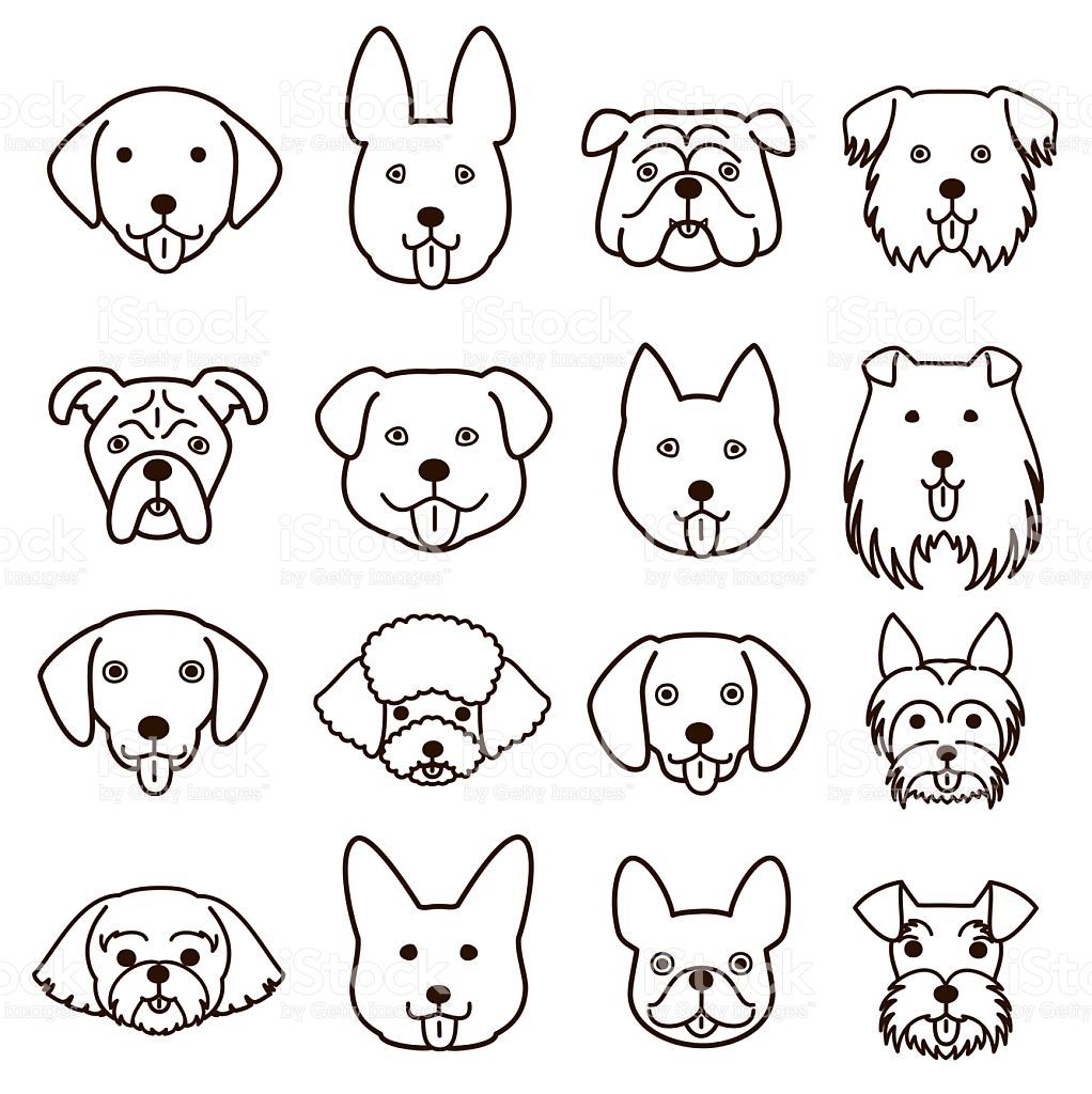 Easy Dog Face Drawing