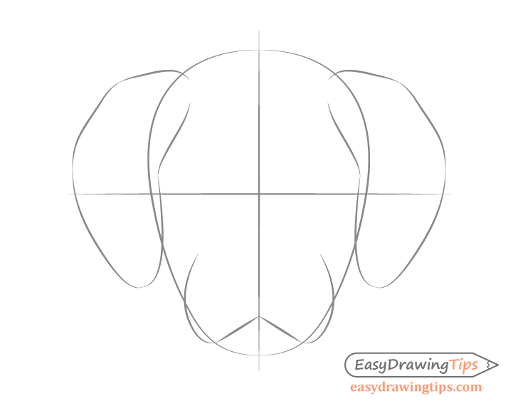 728x570 Dog Head Front View Drawing Step - Easy Dog Face Drawing