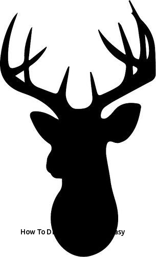 305x500 How To Draw A Deer Head Easy - Easy Drawing Deer Head
