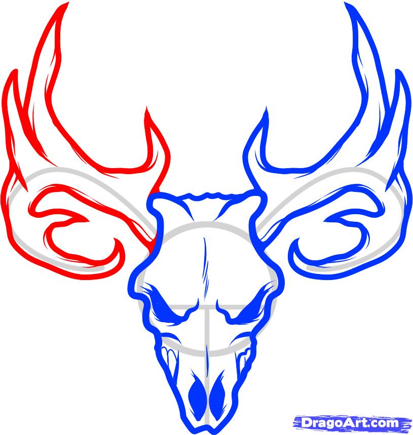 815x859 how to draw a deer skull, deer skull tattoo, step - Easy Drawing Deer Head