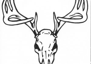 300x210 simple deer head drawing how to draw deer head stepstep very - Easy Drawing Deer Head