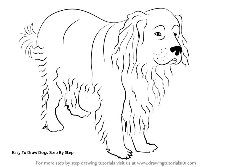 800x566 drawing dogs step - Easy Drawing Dogs Step By Step
