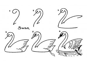 300x210 Easy Drawing Ideas For Beginners Step - Easy Drawing Ideas For Beginners Step By Step Animals