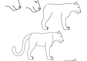 300x210 Easy Sketches Of Animals Step - Easy Drawing Ideas For Beginners Step By Step Animals