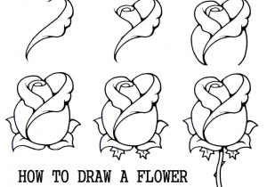 Easy Drawing Ideas For Beginners Step By Step Animals At PaintingValley ...