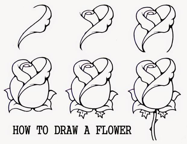 620x478 Easy Drawings Step - Easy Drawing Images