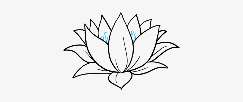 820x346 How To Draw A Lotus Flower Really Easy Drawing Tutorial - Easy Drawing Images