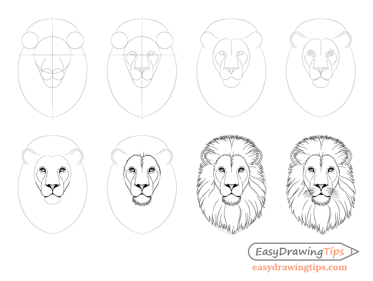728x550 How To Draw Lion Face Head Step - Easy Drawing Images
